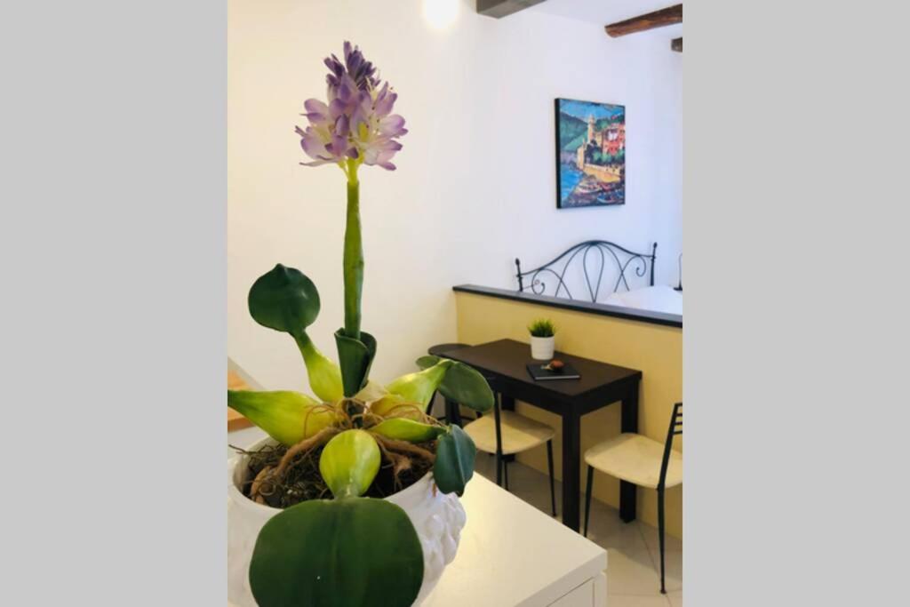 La Gianchina Di Vernazza - Central Cozy Apt Wi-Fi Bagian luar foto